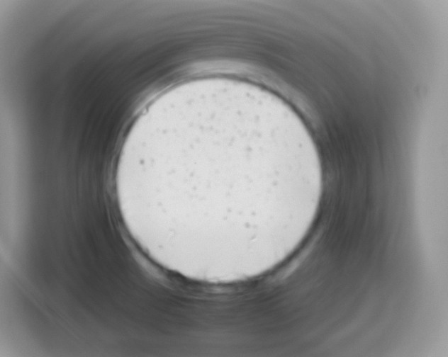 X0000113031521200910081210