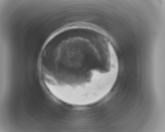 X0000113031522200910081210