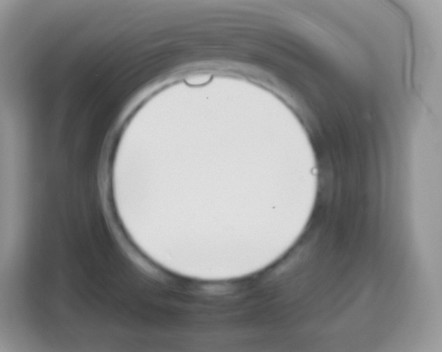 X0000113031523200910081210