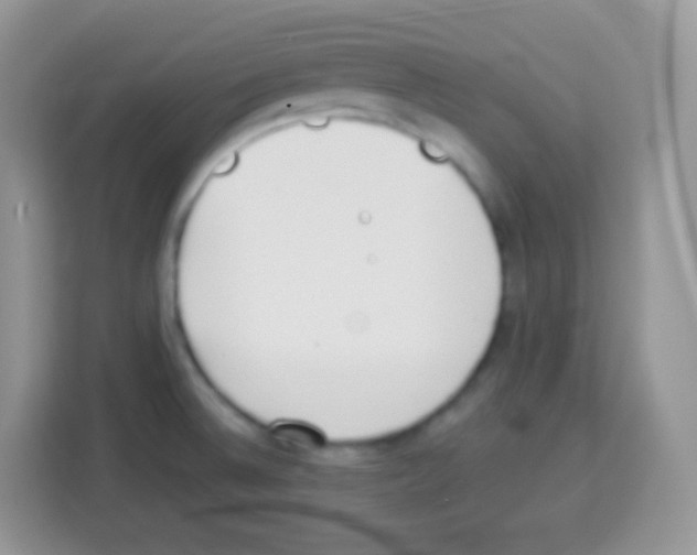 X0000113031524200910081210