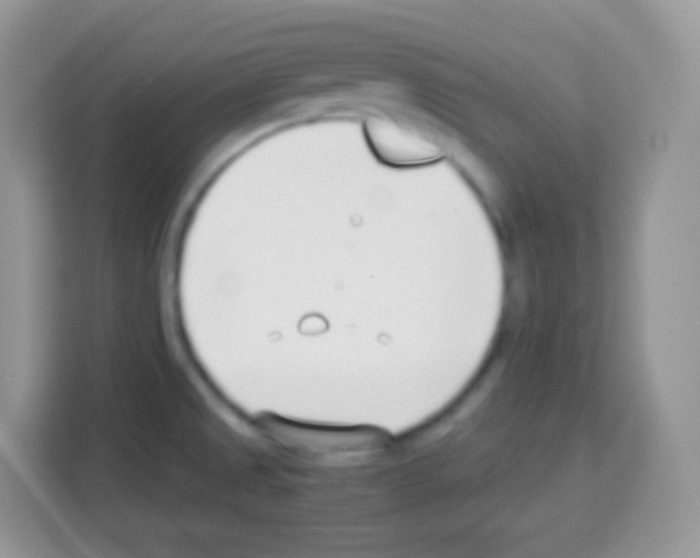 X0000113031525200910081210