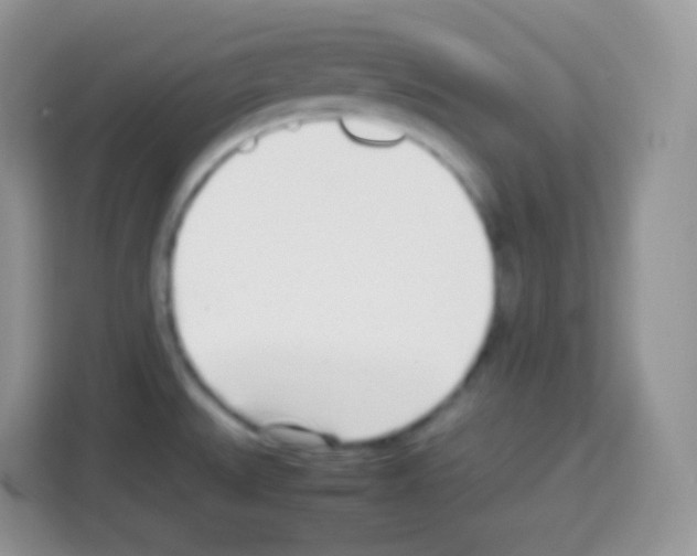 X0000113031527200910081210