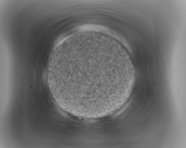 X0000113031529200910081210