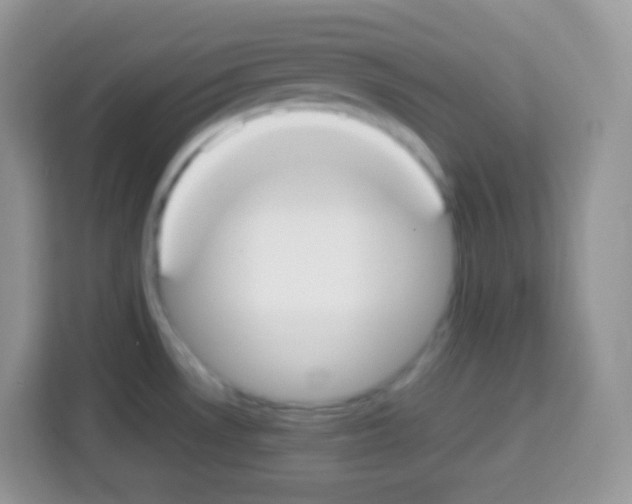 X0000113031530200910081210