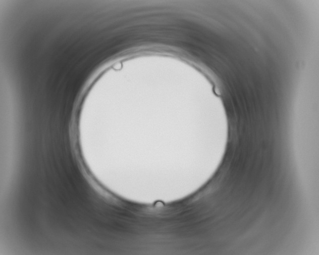 X0000113031531200910081210