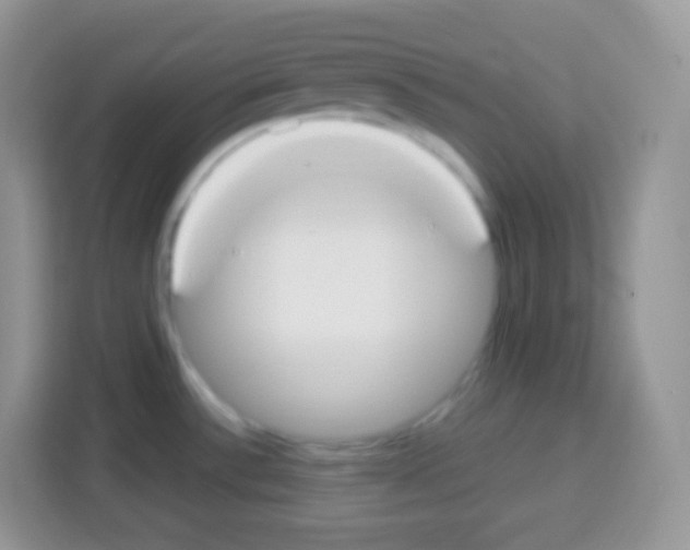 X0000113031532200910081210