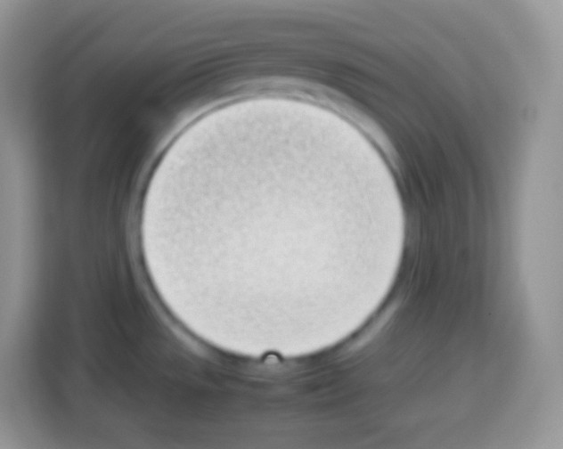 X0000113031533200910081210