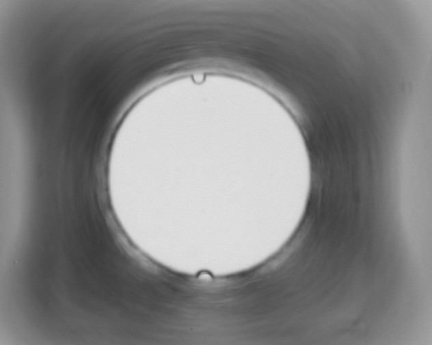 X0000113031534200910081210