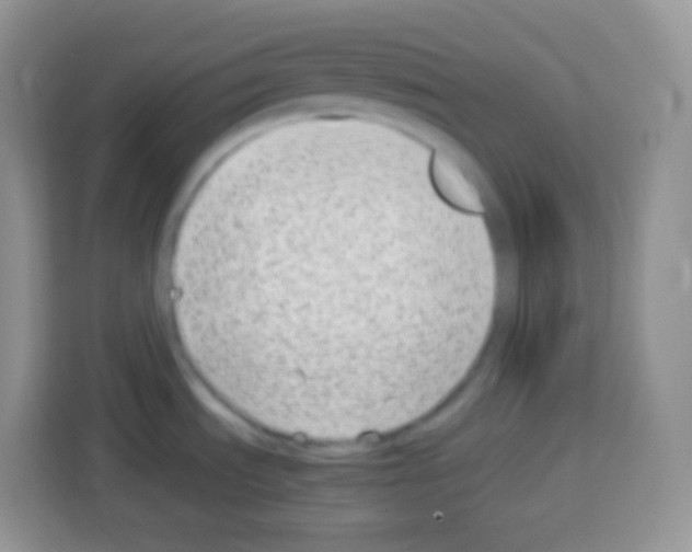 X0000113031535200910081210