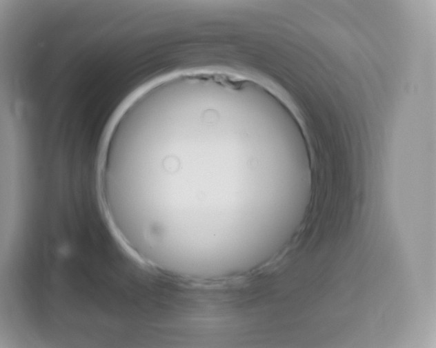 X0000113031536200910081210