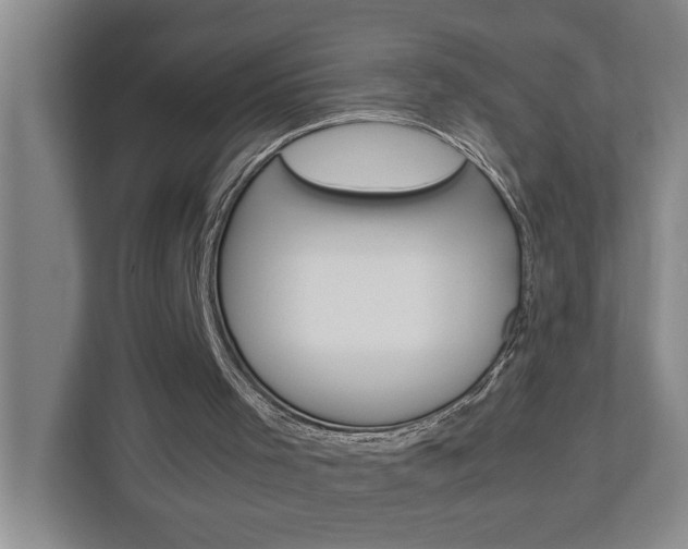X0000113040001200908271044