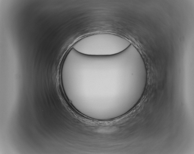 X0000113040002200908271044