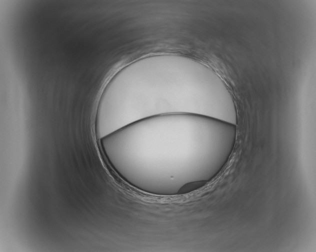 X0000113040003200908271044