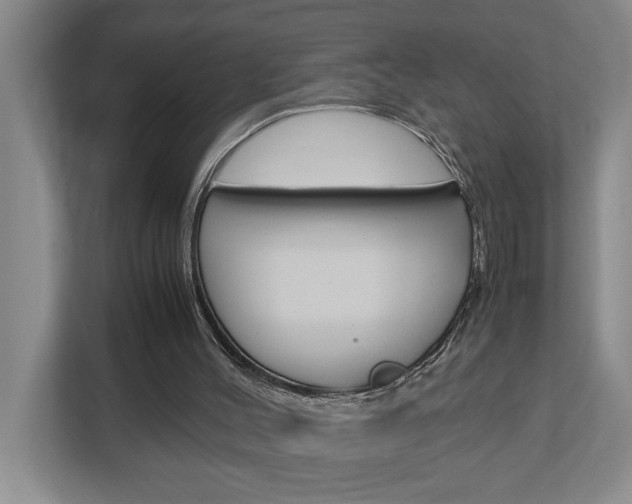 X0000113040004200908271044