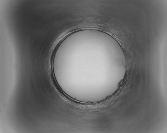 X0000113040005200908271044