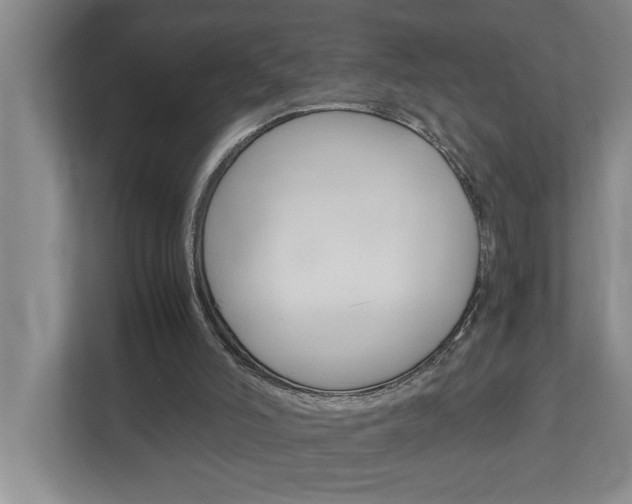 X0000113040006200908271044