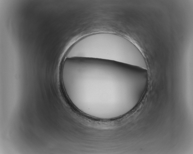 X0000113040008200908271044
