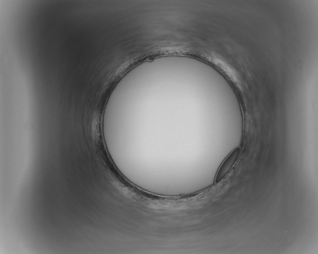 X0000113040009200908271044