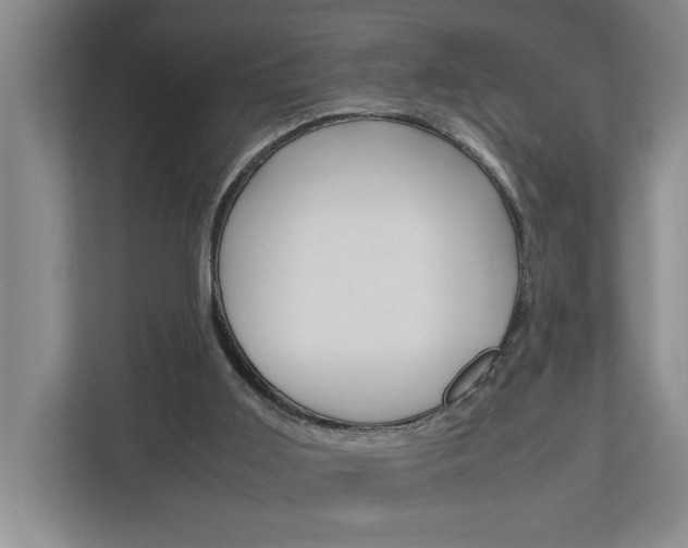 X0000113040011200908271044