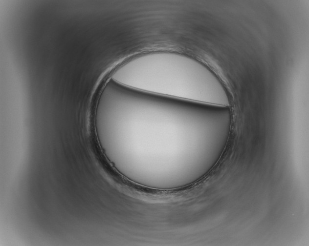 X0000113040012200908271044