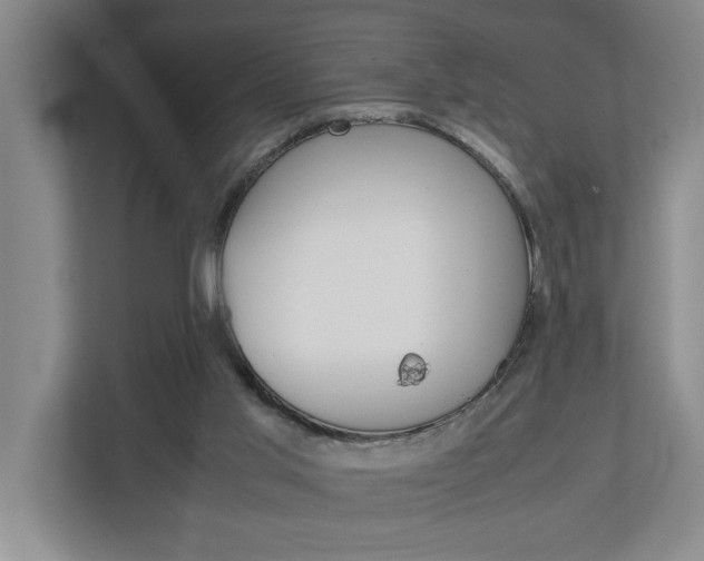 X0000113040013200908271044