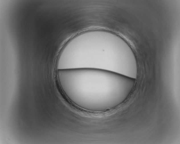 X0000113040015200908271044