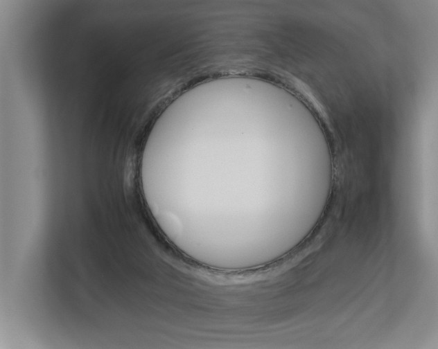 X0000113040018200908271044