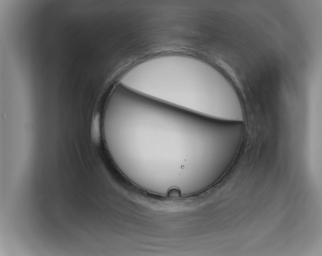 X0000113040020200908271043