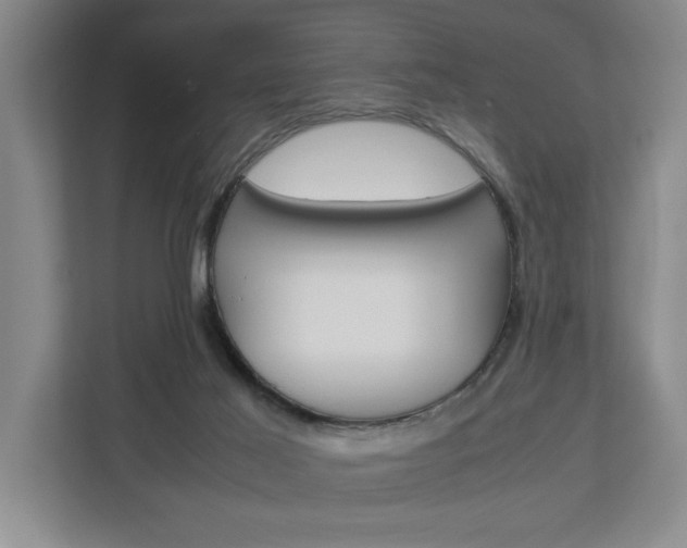 X0000113040021200908271043