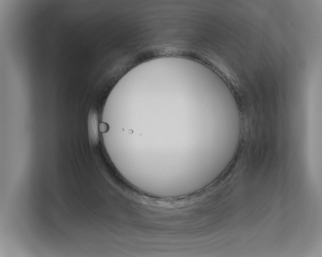 X0000113040022200908271043