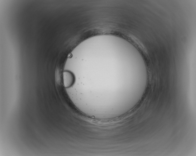X0000113040026200908271043