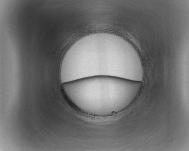 X0000113040027200908271043