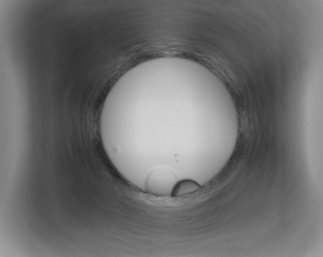X0000113040030200908271043