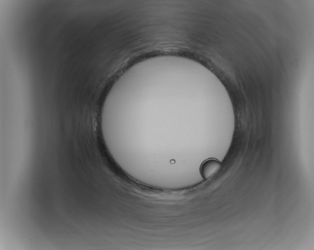 X0000113040032200908271043