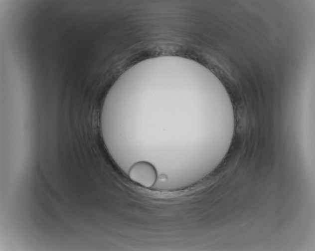 X0000113040034200908271043