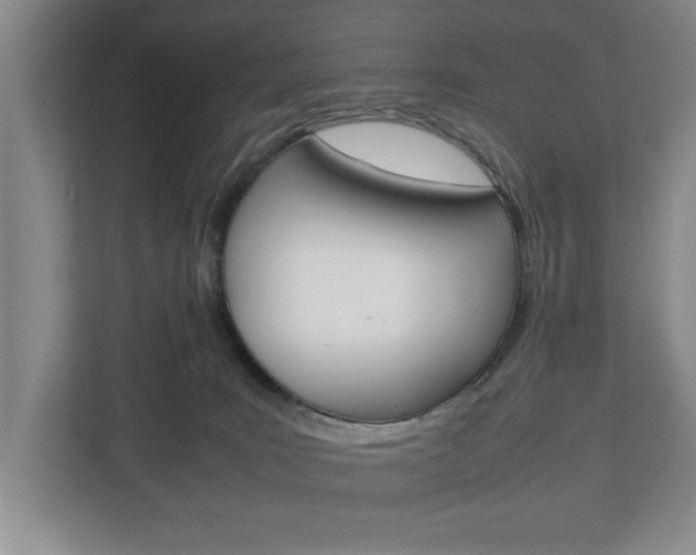 X0000113040035200908271043