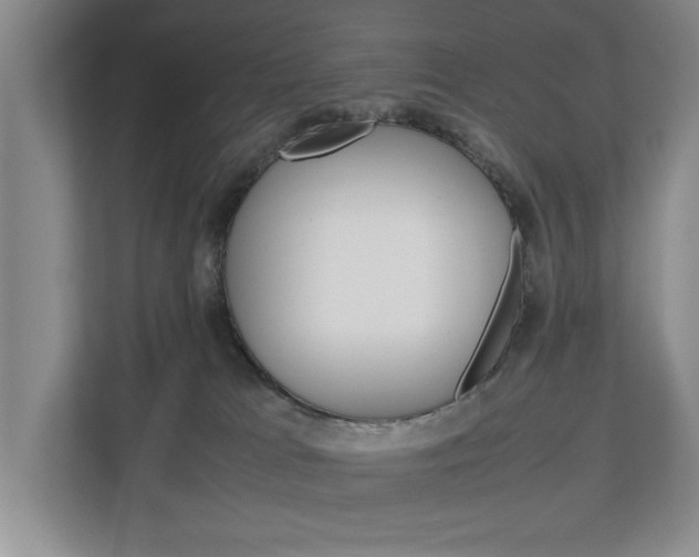 X0000113040037200908271043