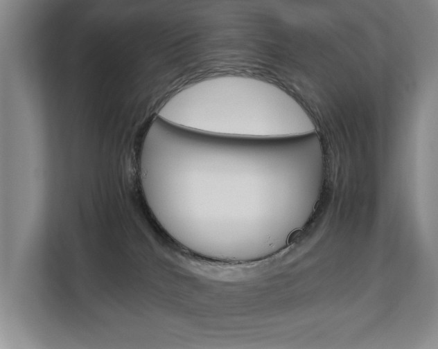 X0000113040040200908271043