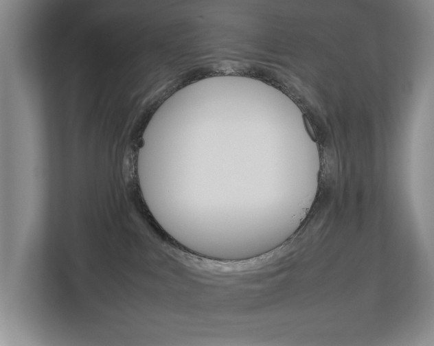 X0000113040043200908271043
