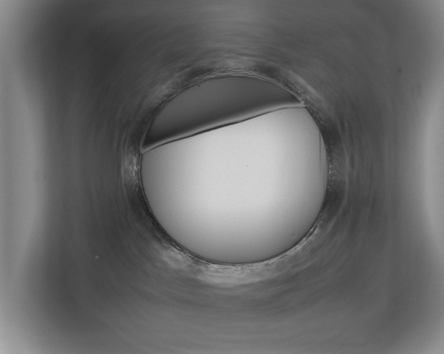 X0000113040045200908271043