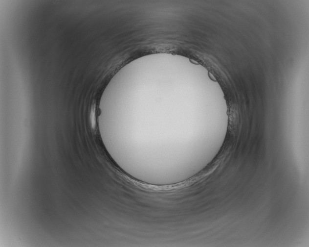 X0000113040046200908271043