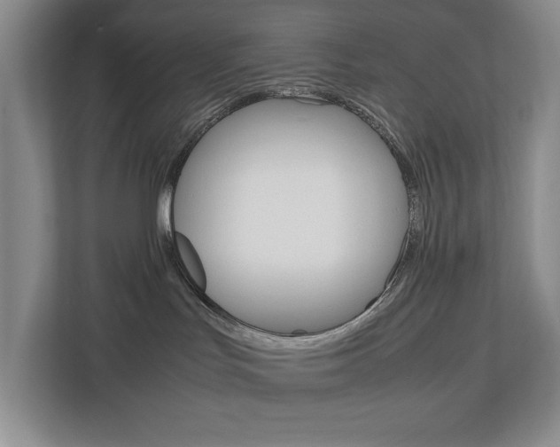 X0000113040047200908271043