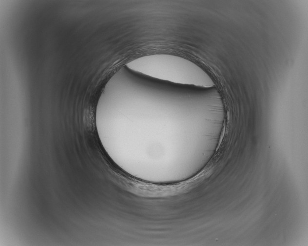 X0000113040048200908271043