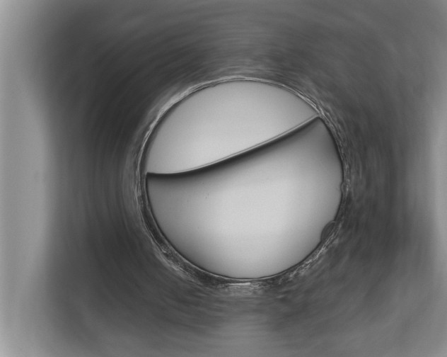 X0000113040050200908271043