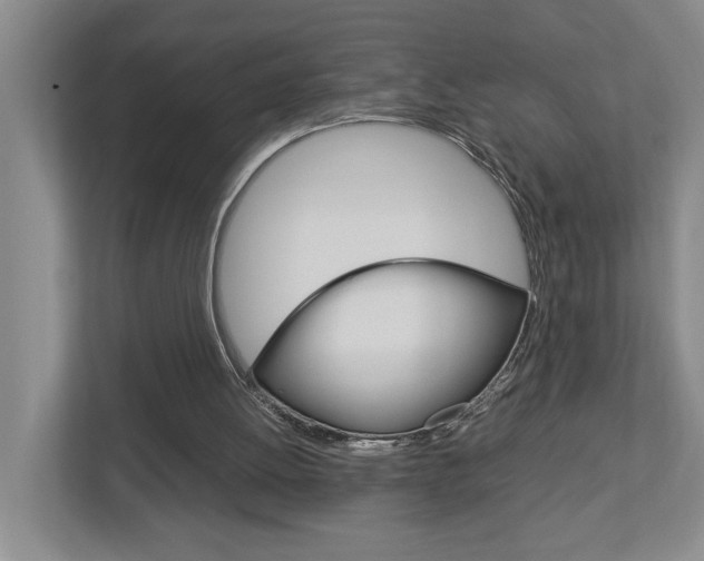 X0000113040052200908271043