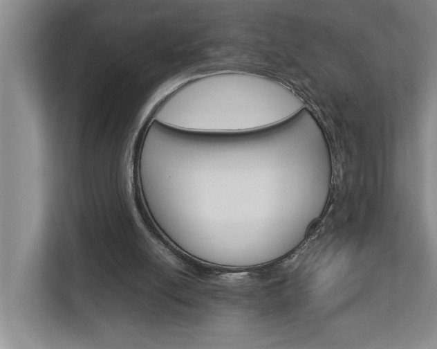 X0000113040054200908271043