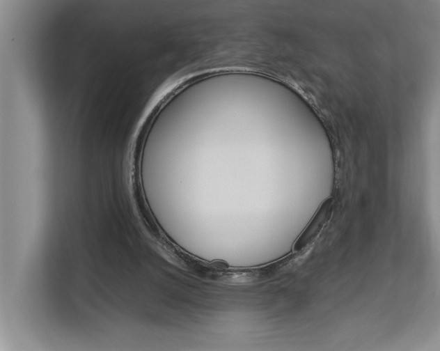 X0000113040056200908271043
