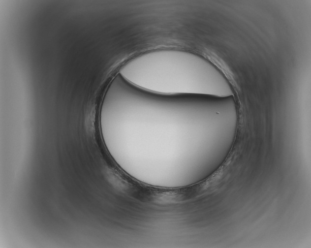 X0000113040058200908271043