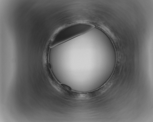 X0000113040060200908271043