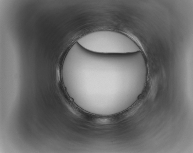 X0000113040061200908271043
